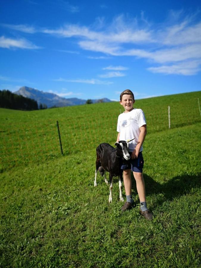 Hochmuthhof Apartman Reith im Alpbachtal Kültér fotó